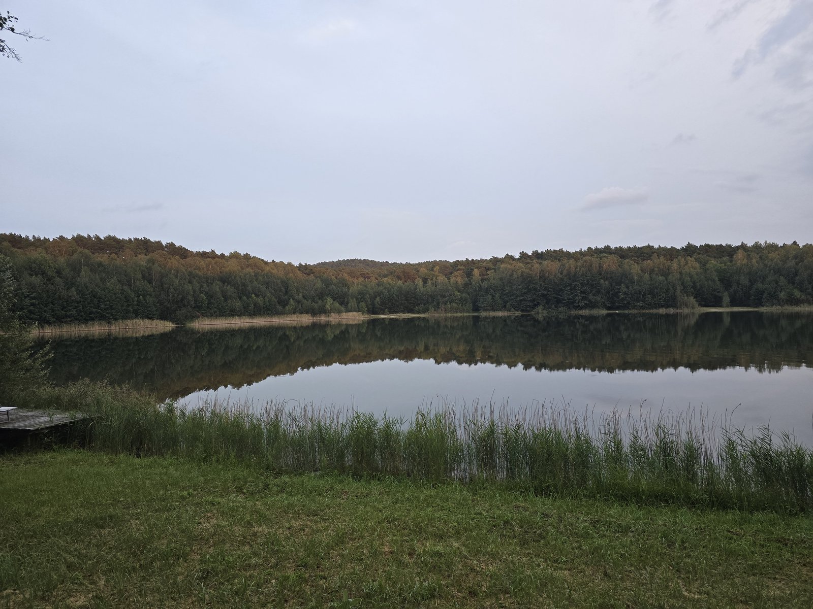 Herbstwald spiegelt sich spiegelglatt im Deulowitzer See