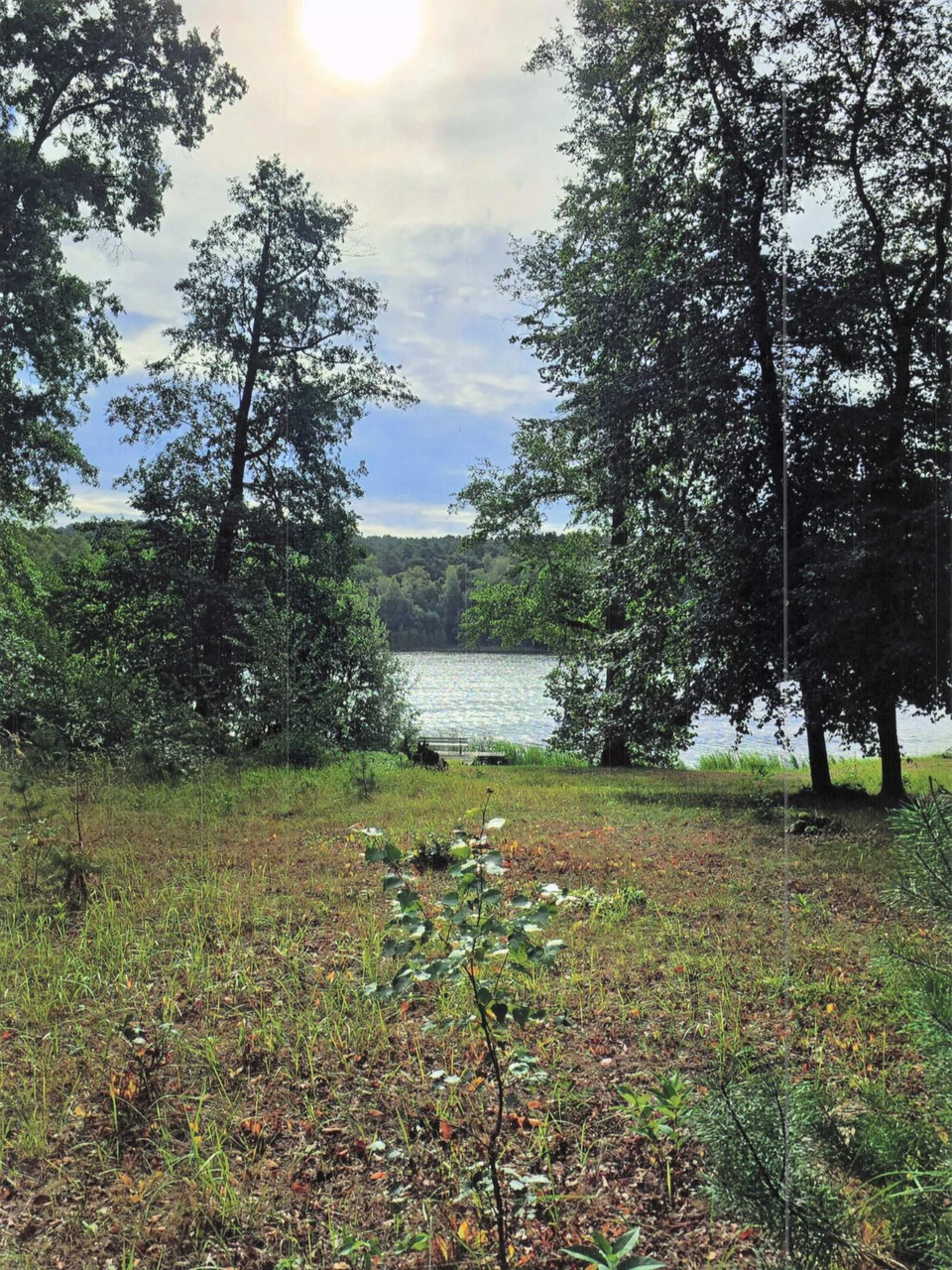 Bäume und Wiesen am Seehof mit Blick auf den Deulowitzer See