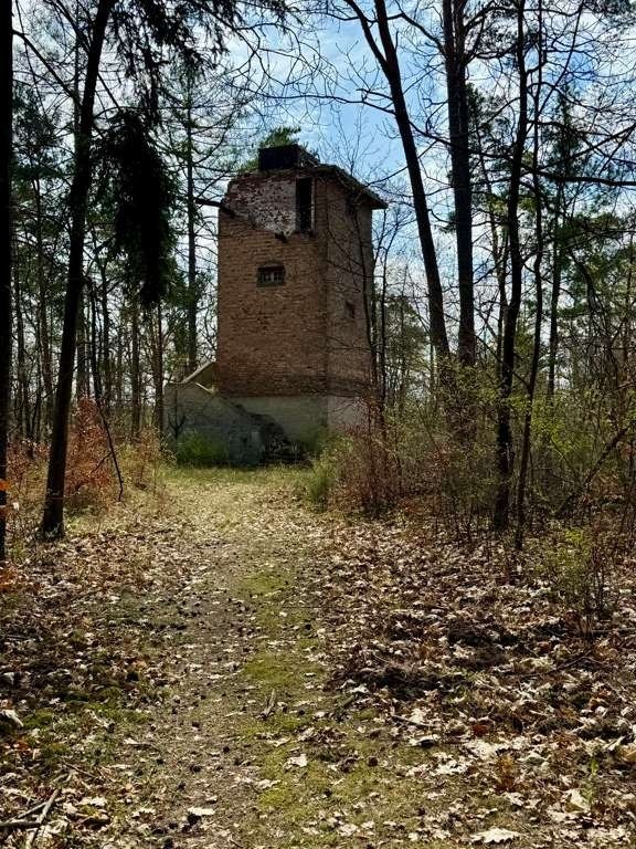 Waldpfad, der zwischen Bäumen auf den Wasserturm zuführt